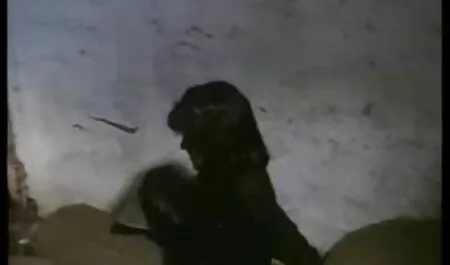 در حالی که همسر خواب در این نزدیکی هست, ناپدری کشتن کانال پورن سکسی تلگرام آشپز جوان.